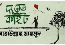 দ্য রেড কাইট