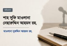 শাহ সুফি মাওলানা নেছারুদ্দীন আহমদ রহ.